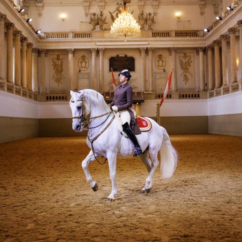 Rider in formal equestrian attire performing dressage on a white horse inside an ornate hall with chandeliers and classical columns