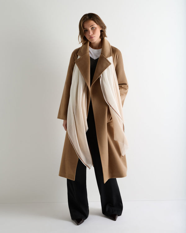 Women's Bordered Cashmere Pashmina 2