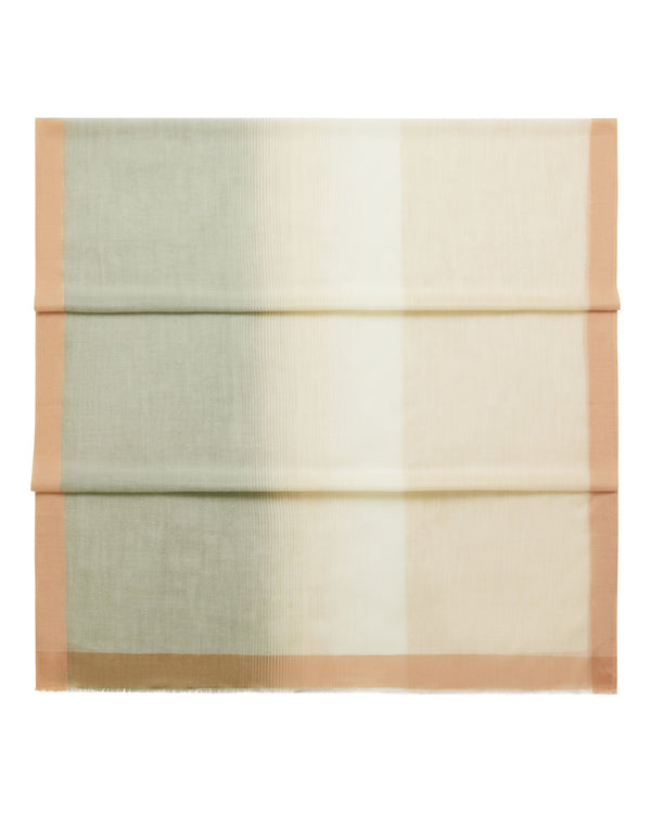 Women's Bordered Cashmere Pashmina 1